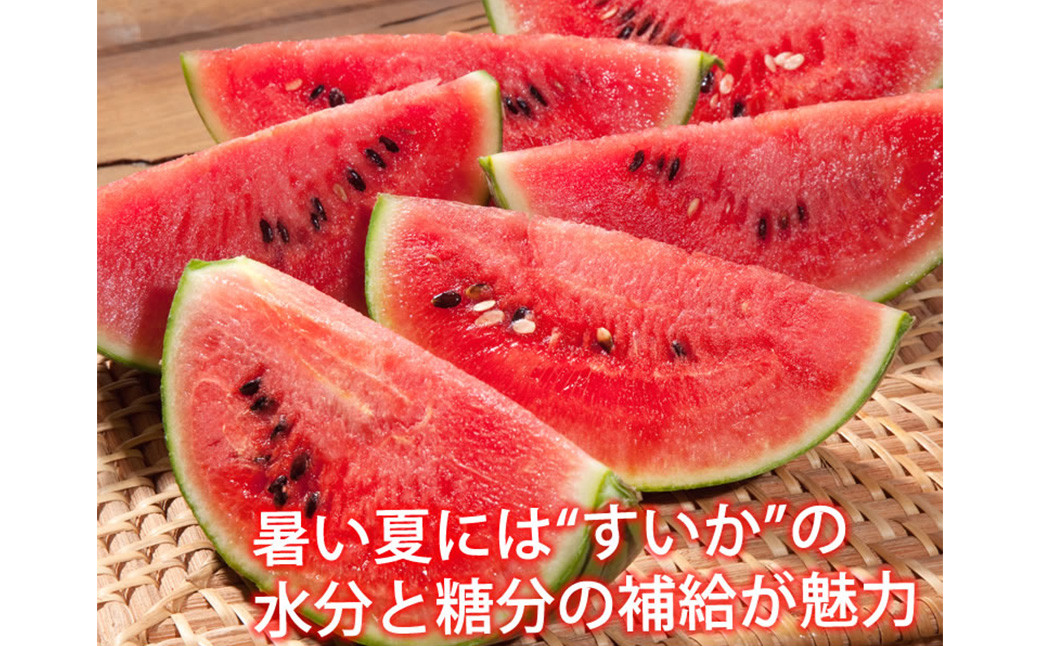 大玉すいか 秀品 1玉 約6kg?9kg