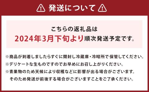 【2024年3月下旬発送開始】紅まくら スイカ 5kg以上 1玉