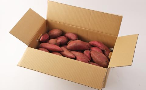 【2023年11月下旬発送開始】熊本産 紅はるか 約10.5kg