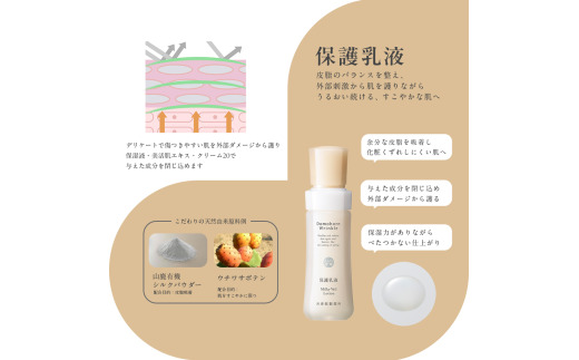 再春館製薬所 ドモホルンリンクル 基礎 セット