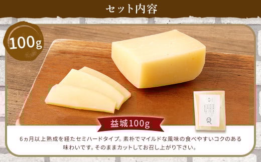 4種の チーズ セット 益城100g 益城ヤング100g 益城ブラウンチーズ60g クマンベール150g 各1個 計410g 生乳 乳製品 おつまみ おやつ
