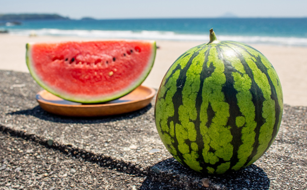 小玉すいか 1玉入り 3Lサイズ 約1.5kg 小玉スイカ 小玉 すいか スイカ 西瓜 フルーツ 果物 くだもの 常温 国産 熊本県 益城町 【2026年4月下旬～8月上旬発送予定】