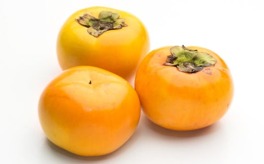 太秋柿 約2kg（4～8玉）柿 カキ 果物【2026年10月上旬～11月上旬発送予定】