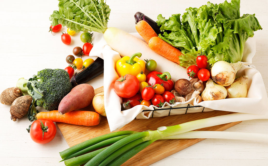 季節の野菜 16品目 セット 野菜 詰め合わせ おまかせ 冷蔵 国産