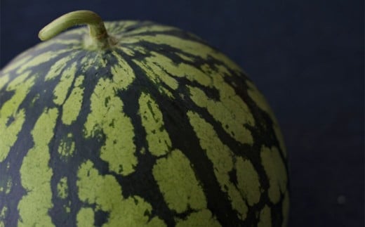 熊本県 益城町 スイカ だんらん 2L 1玉 約7kg