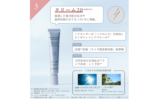 ドモホルンリンクル 基本4点セット 化粧水 美容液 クリーム 乳液 約60日分 再春館製薬所 保湿液 美活肌エキス クリーム20 保護乳液 スキンケア フェイスケア