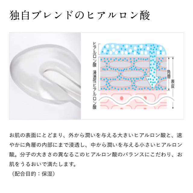 再春館製薬所 ドモホルンリンクル 基礎 セット: 益城町ANAのふるさと納税