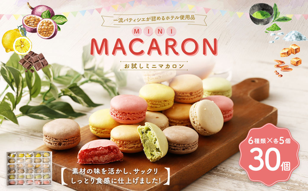 一流パティシエが認めるホテル使用品 お試し ミニ マカロン セット 30個（6種類×5個）冷凍