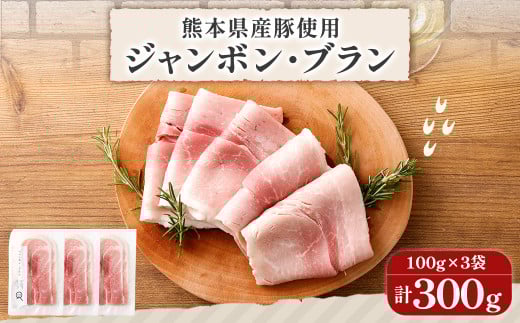 熊本県産 ハム 3個セット 100g×3個 計300g ジャンボンブラン はむ 豚 肉 スライス おつまみ 惣菜