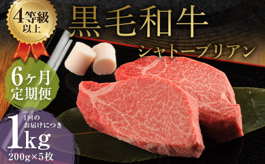 【6ヶ月定期便】 くまもと 黒毛和牛 シャトーブリアン 1.0kg（200g×5枚）