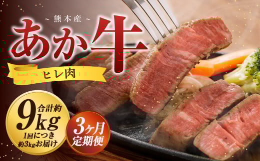 【3か月定期便】 熊本 あか牛 ヒレ肉 約3kg （約150g×15枚～18枚）