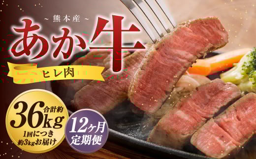 【12か月定期便】 熊本 あか牛 ヒレ肉 約3kg （約150g×15枚～18枚）