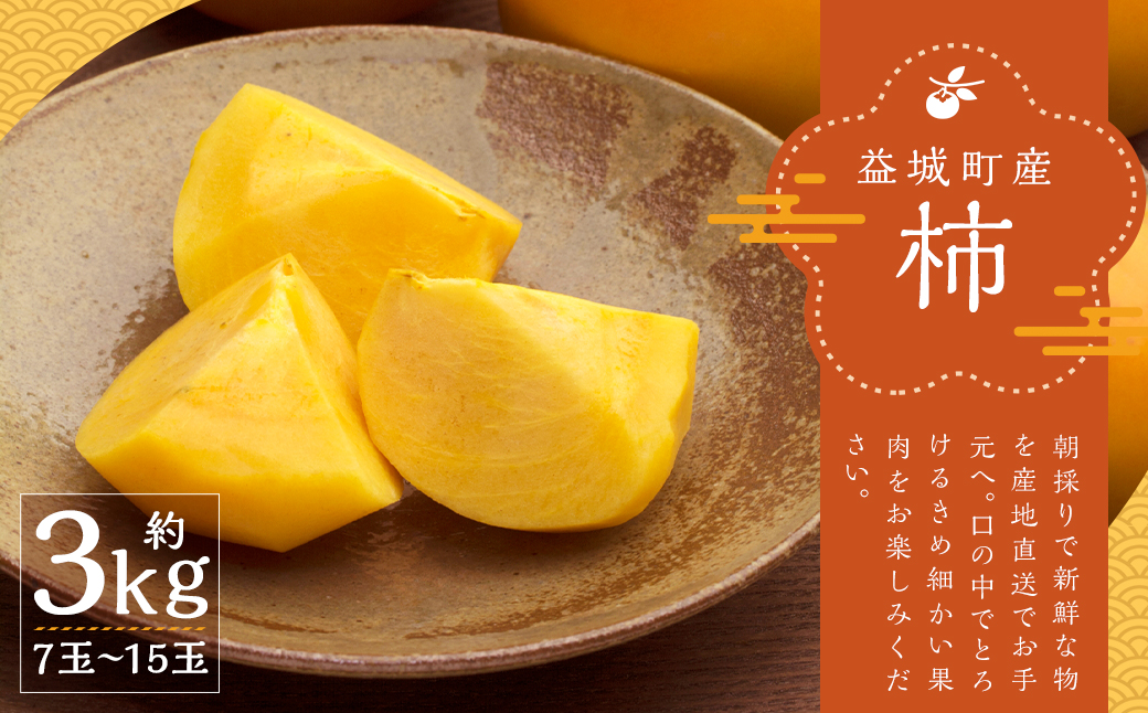 産地直送 朝採り 柿 約3kg 【2024年9月上旬-10月下旬発送予定】