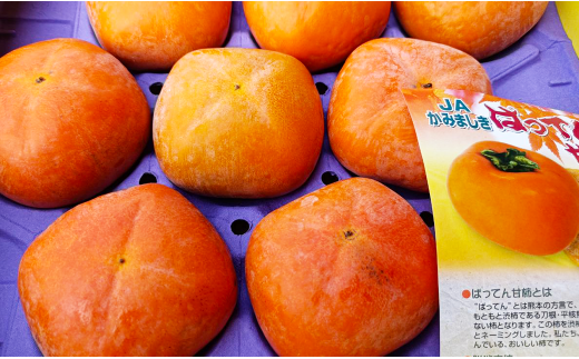 ばってん甘柿 約3kg 赤秀・青秀 8～16玉入り 柿 かき 甘柿 【2024年10月上旬～11月上旬まで発送予定】