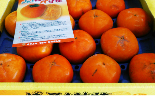 ばってん甘柿 訳あり 約3kg 8～16玉入り×2箱 合計約6kg 柿 かき 甘柿 【2024年10月上旬～11月上旬まで発送予定】