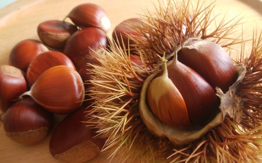 生栗 クリ 大粒 2L以上 約2kg