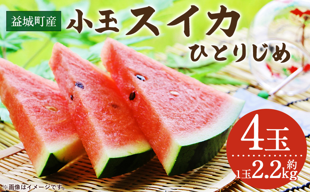 益城町産 スイカ 小玉 ひとりじめ  4玉 9kg以上 【2024年5月下旬～6月上旬発送予定】
