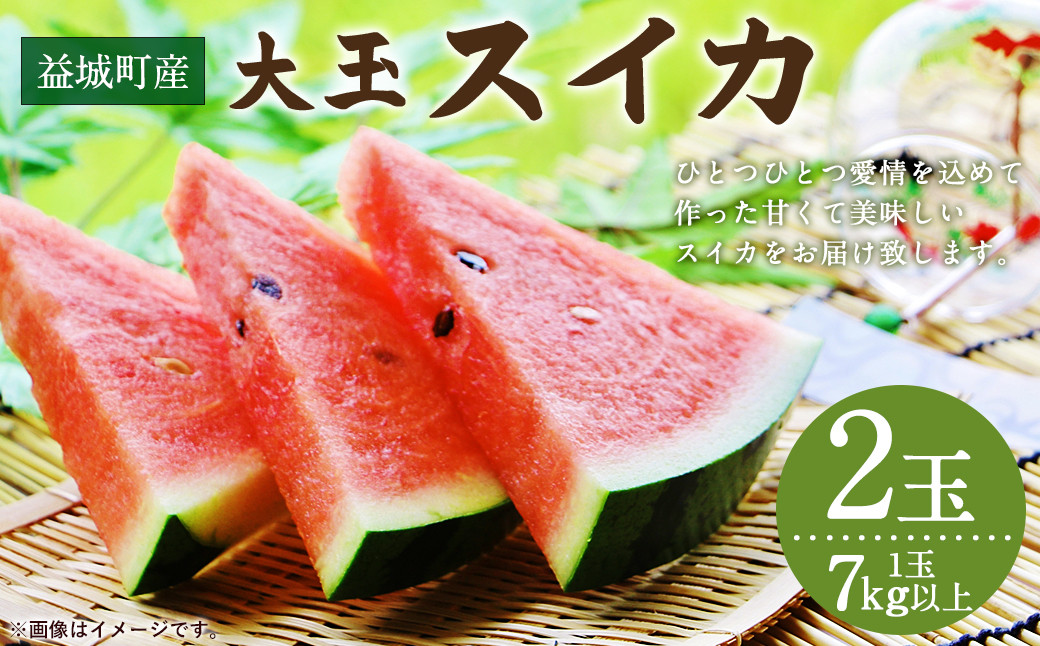 益城町産 スイカ 大玉 7kg以上×2玉 【2024年5月下旬～6月上旬発送予定】