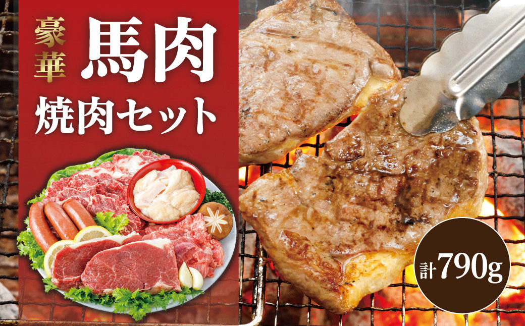 馬肉専門店だからできる 豪華 馬 焼肉セット カルビ ロース ホルモン