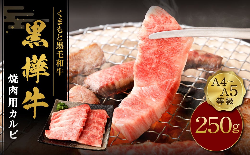 くまもと黒毛和牛 杉本本店 黒樺牛 A4~A5等級 焼肉用カルビ 250g