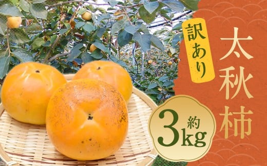 太秋柿 秀品 約3kg（約8～14個）
