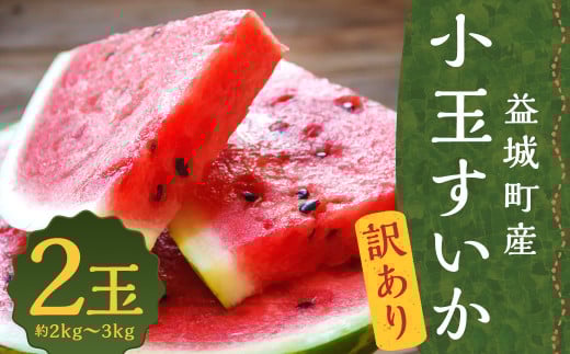 訳あり 小玉すいか 2玉 約2～3kg