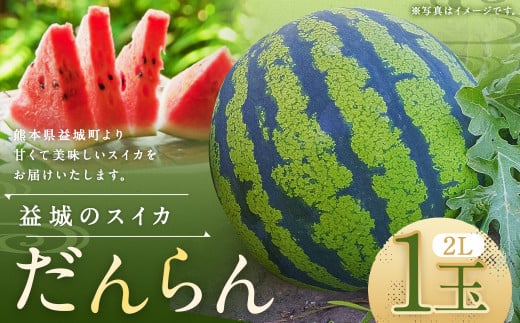熊本県 益城町 スイカ だんらん 2L 1玉 約7kg