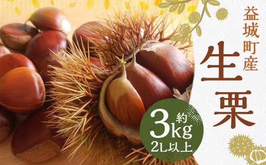 生栗 クリ 大粒 2L以上 約3kg くり マロン【2026年9月上旬～10月上旬発送予定】