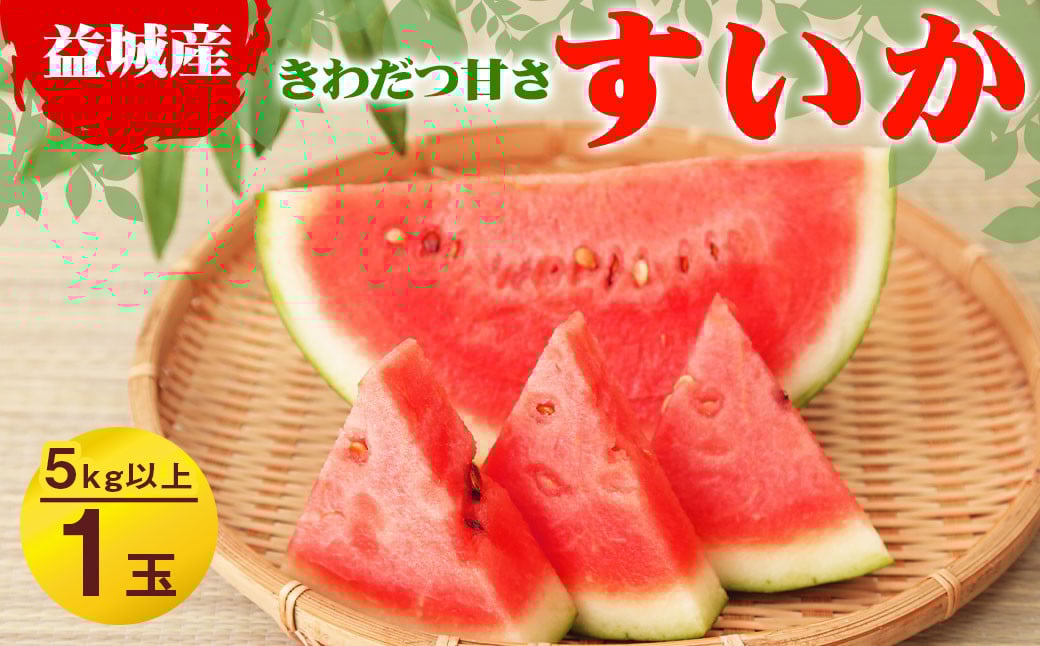 【2024年3月下旬発送開始】益城産 西瓜 約5kg以上 1玉入り