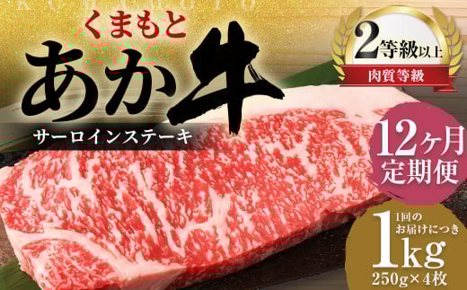【12ヶ月定期便】 くまもと あか牛 サーロイン 1.0kg（250g×4枚）