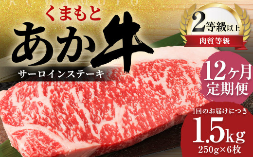 【12ヶ月定期便】 くまもと あか牛 サーロイン 1.5kg（250g×6枚）