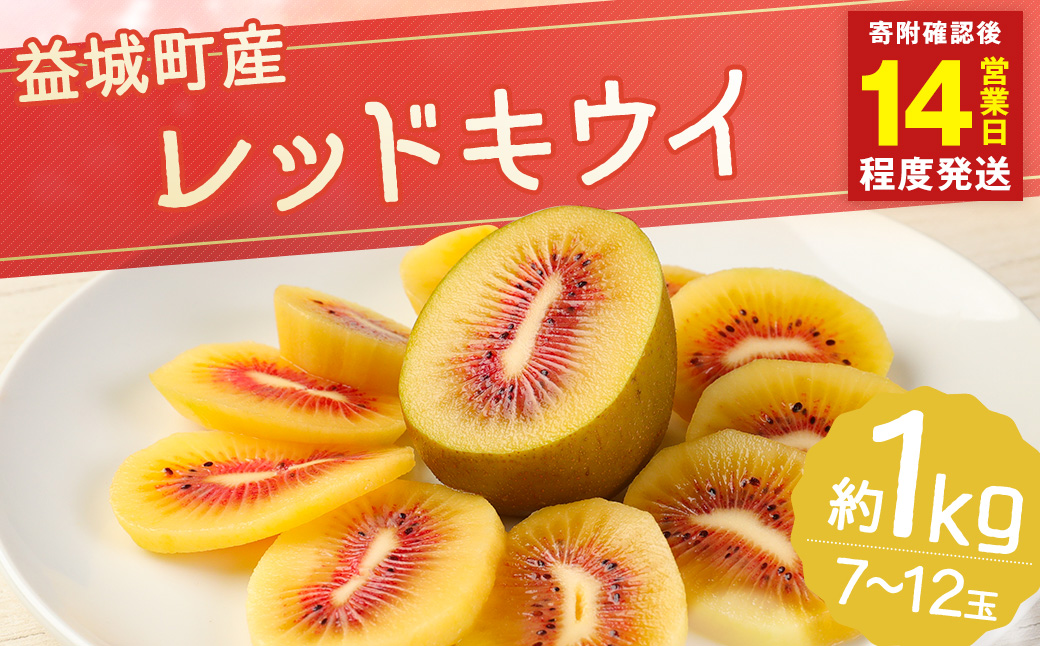 益城町産 レッドキウイ 約1kg（7～12玉）