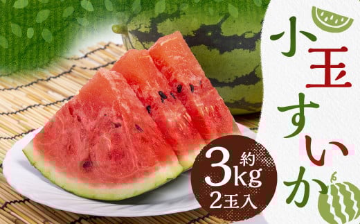 小玉 すいか 2玉入り 3Lサイズ 約3kg【2026年4月下旬～8上旬発送予定】