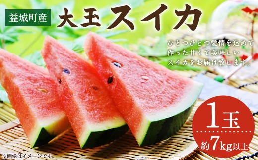 益城町産 スイカ 大玉 1玉（約7Kg以上）