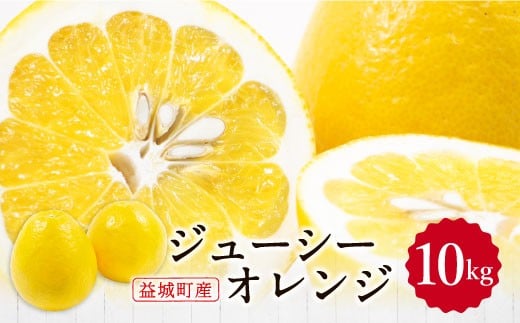 ジューシーオレンジ 約10kg 柑橘類 晩柑 熊本県産