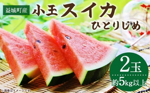 益城町産 スイカ 小玉 （ひとりじめ） 2玉（約5kg以上）