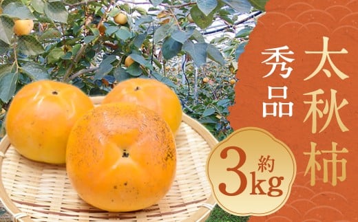 太秋柿 訳あり 約3kg（約8～14個）