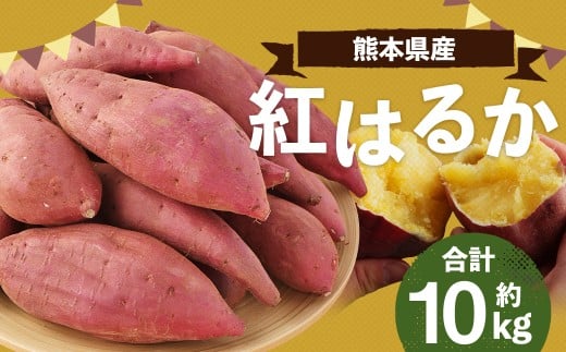 熊本産 紅はるか 約10kg