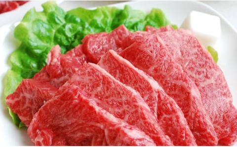 熊本県産GI認証_くまもとあか牛　焼肉用500g - 肉 お肉 牛肉 くまもとあか牛 あか牛 和牛 焼肉 冷凍 GI認証 国産 九州産 熊本県産 熊本県 甲佐町
