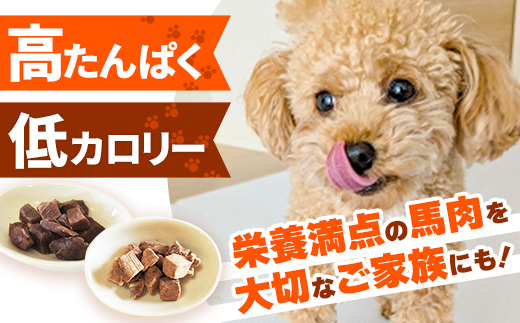 【定期便3回】 馬肉100％ 犬猫用おやつ 25g×6袋 - フリーズドライ ペット 小分け 常温 馬肉 栄養豊富 健康 ペット用 おやつ 熊本県 甲佐町