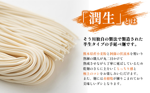潤生うどん８食入り - 麺 800g 饂飩 国産小麦 麺類 乾麺 つゆ付 つるつる もちもち 潤い 早茹で 再熟成 こだわり 製法 ざるうどん 冬 温うどん 一年中 楽しめる 人気 おすすめ 熊本県 甲佐町