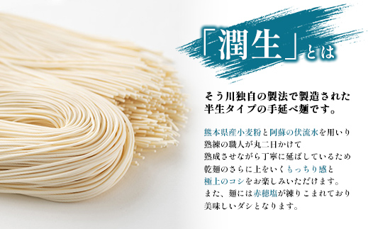 潤生そうめん8食入り - 麺 800g 素麵 国産小麦 麺類 乾麺 つゆ付 潤い 生に戻し 再熟成 こだわり 製法 手延べ にゅう麵 一年中 楽しめる 人気 おすすめ 熊本県 甲佐町
