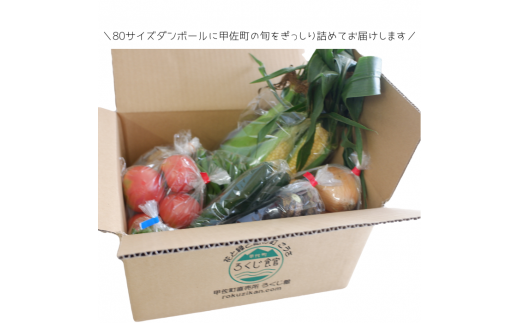 旬の朝採れお野菜おまかせセット - 野菜セット 野菜詰め合わせ 新鮮 フレッシュ 旬の野菜 朝採れ 国産 熊本県産 お任せ 何が入っているかはお楽しみ 7種類前後 おすすめ 熊本県 甲佐町【価格改定】