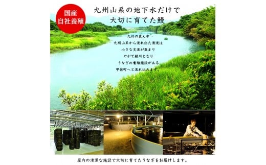 【甲佐ブランド】 うなぎの蒲焼き ・白焼きセット 【こうさんもん認定商品】熊本産 国産 総重量３００ｇ以上 - うなぎ 鰻 蒲焼 国産 熊本産 こうさんもん 甲佐ブランド 甲佐町特産 蒲焼き 白焼き ふっくら 冷凍 熊本県 甲佐町