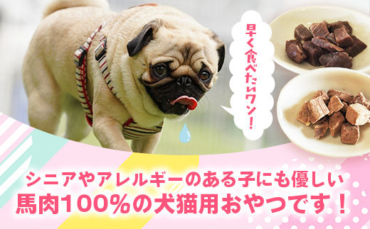 【定期便6回】 馬肉100％ 犬猫用おやつ 25g×3袋 - フリーズドライ ペット 小分け 常温 馬肉 栄養豊富 健康 ペット用 おやつ 熊本県 甲佐町