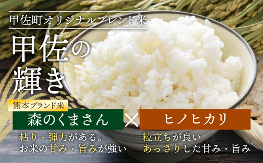 令和7年産『甲佐の輝き』無洗米10kg（5kg×2袋）【2026年1月より配送月選択可！】／出荷日に合わせて精米 - 国産 白米 無洗米 お米 ブレンド米 複数原料米 訳あり 厳選 マイスター 生活応援 ひのひかり 森のくまさん おすすめ 熊本県 甲佐町【価格改定ZJ】