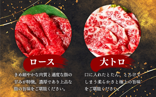 国産６種馬刺し食べ比べセット（宴）【熊本と畜】 - 馬肉 馬刺 上赤身 霜降り 大トロ たてがみ ふたえご ロース おつまみ 晩酌 冷凍 ブロック 醤油付き 国産 国内産 熊本県 甲佐町