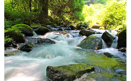 い・ろ・は・す(いろはす)阿蘇の天然水　2LPET×6本×2ケース - 天然水 水 飲料水 ミネラルウォーター 箱買い まとめ買い ペットボトル 飲料 ウォーター 軟水 コカ・コーラ 防災グッズ 防災 備蓄 ローリングストック ストック 熊本県 甲佐町