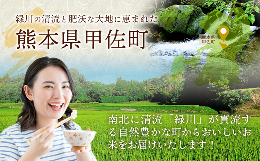 令和7年産【定期便12ヶ月】『甲佐の輝き』無洗米16kg×12ヶ月（5kg×2袋、6kg×1袋）【2026年1月より配送月選択可！】／出荷日に合わせて精米 - 国産 白米 無洗米 お米 ブレンド米 複数原料米 訳あり 厳選 マイスター 生活応援 ひのひかり 森のくまさん おすすめ 定期便 熊本県 甲佐町【価格改定ZM】