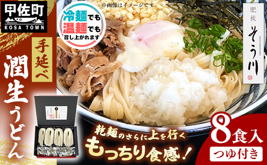 潤生うどん８食入り - 麺 800g 饂飩 国産小麦 麺類 乾麺 つゆ付 つるつる もちもち 潤い 早茹で 再熟成 こだわり 製法 ざるうどん 冬 温うどん 一年中 楽しめる 人気 おすすめ 熊本県 甲佐町